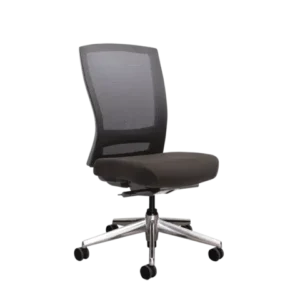 Mentor Mesh – Ali Base